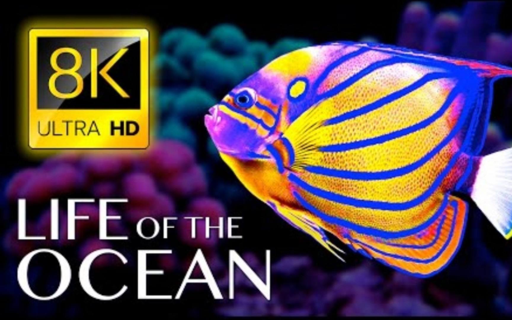 [motionsoftheocean俚语]motion of the ocean 俚语