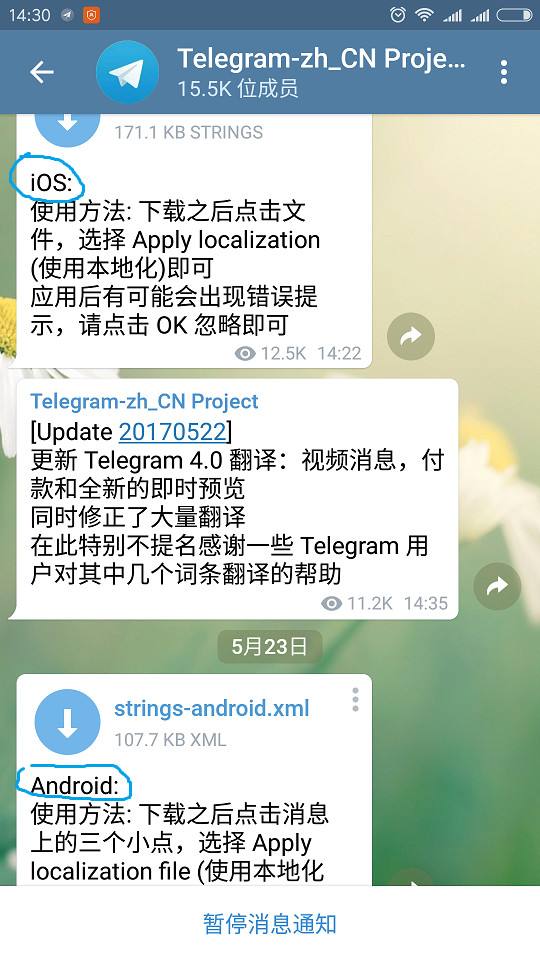 [telegreat怎么下载]telegreat怎么下载不了中文包