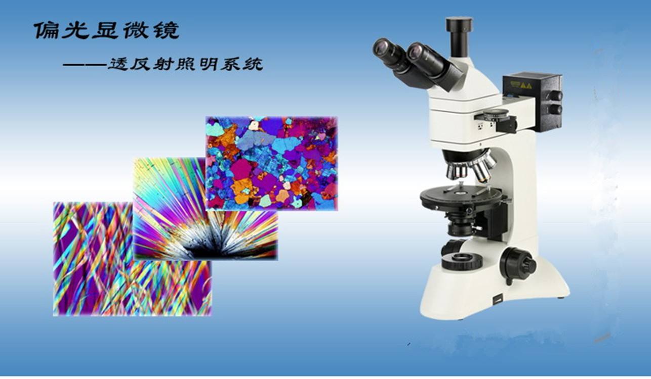 包含microscope的分辨率与下列哪项无关的词条