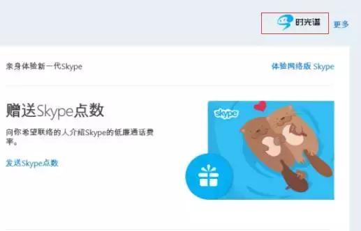 [skype的汉语是什么]skype英语是什么意思