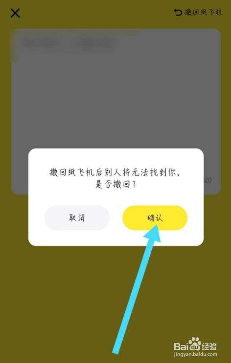 [纸飞机app怎么使用]纸飞机app怎么用不了