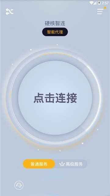 [加速器iphone]加速器ios免费下载