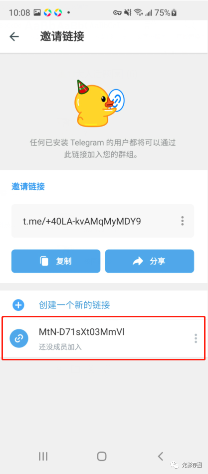 包含telegram视频提取的词条