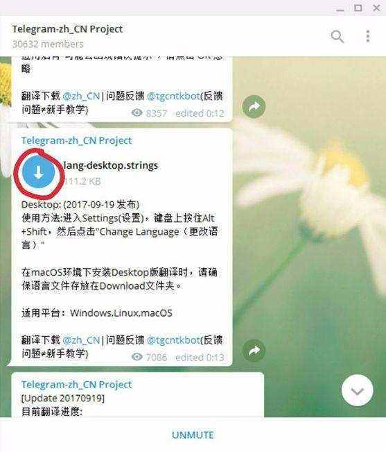 关于telegram搜索器链接的信息