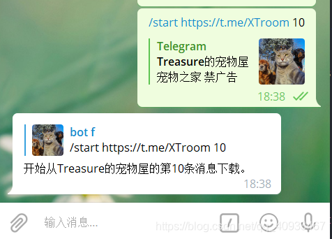 关于telegram搜索器链接的信息