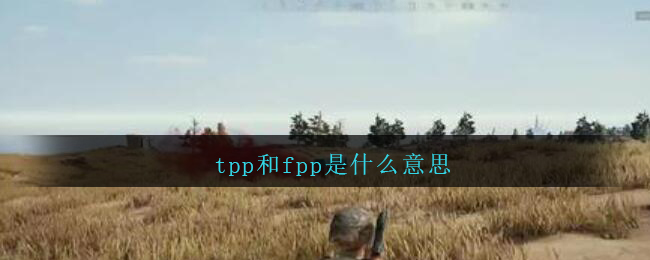 riskyplay是什么意思-lifeisplay是什么意思