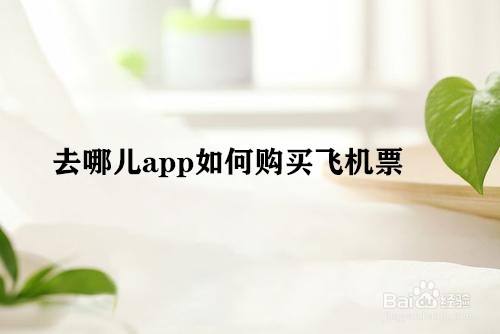 飞机是什么app-哪个app可以看飞机飞到哪里了