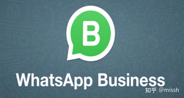 whatsapp有翻译功能吗-whatsapp有自带翻译功能吗