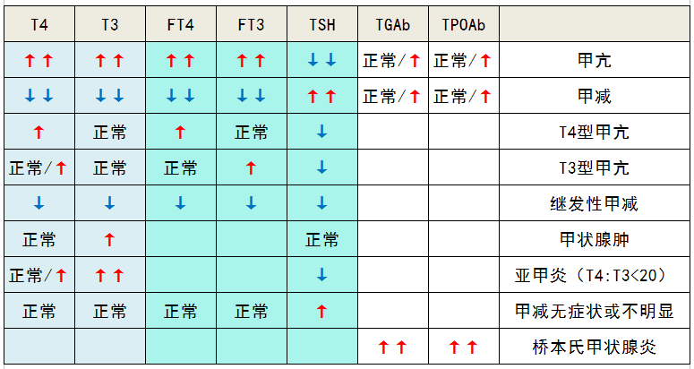 关于TSH和TG升高的信息