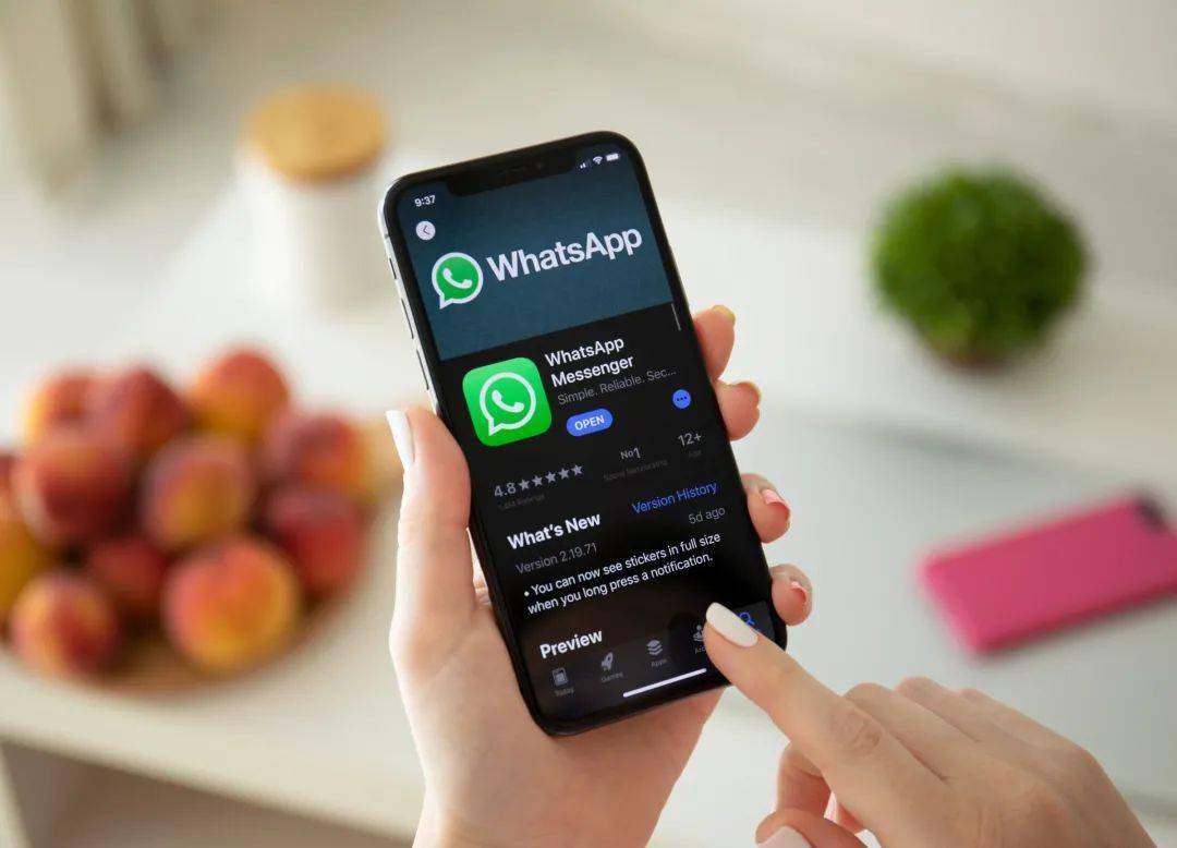 whatsapp官网手机版app-whatsapp fownload