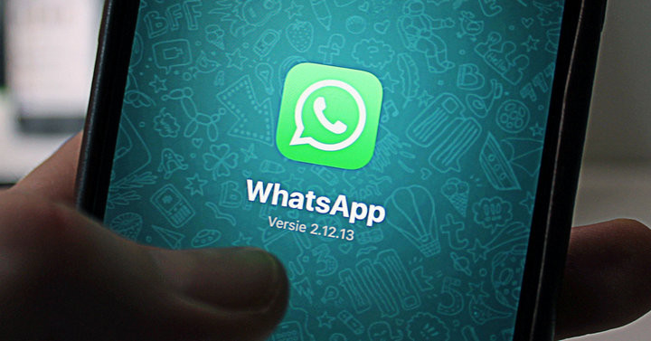 whatsapp代理-whatsapp代理推荐