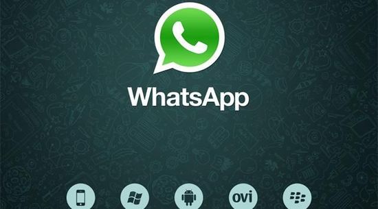 whatsapp检索登陆信息-whatsapp检索登陆信息要多久