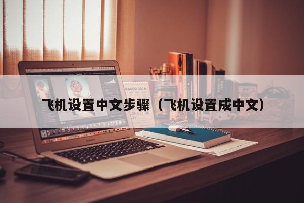 手机版纸飞机怎么设置中文版-手机纸飞机怎么设置中文版教程