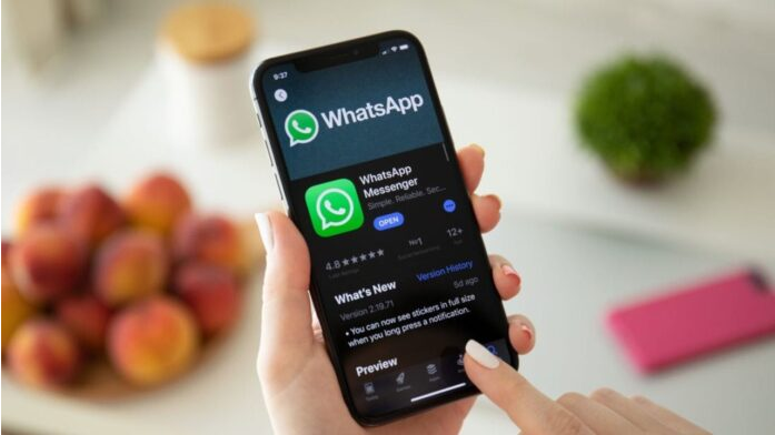 whatsapp安卓版官网-whatsapp for android