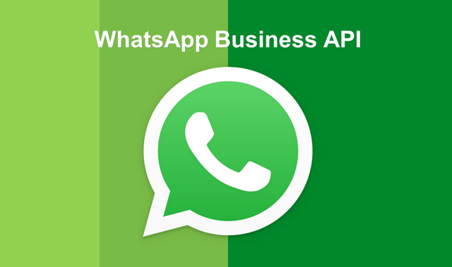 whatsapp聊天软件下载-whatsapp downloadapk