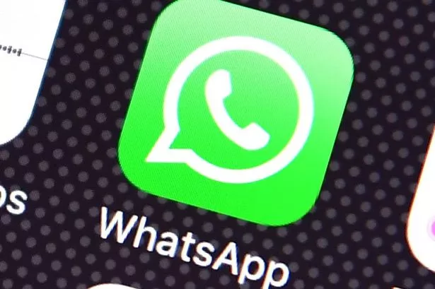 whatsapp英文怎么翻译成中文-whatsapp怎么直接在软件中译英