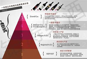 法国红酒小狐仙庄-法国红酒顶级庄园排名