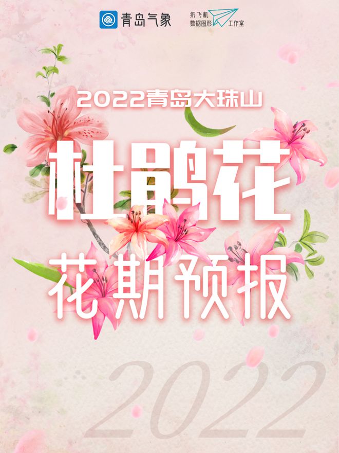 纸飞机最新版本2022-纸飞机最新版本中文版2023