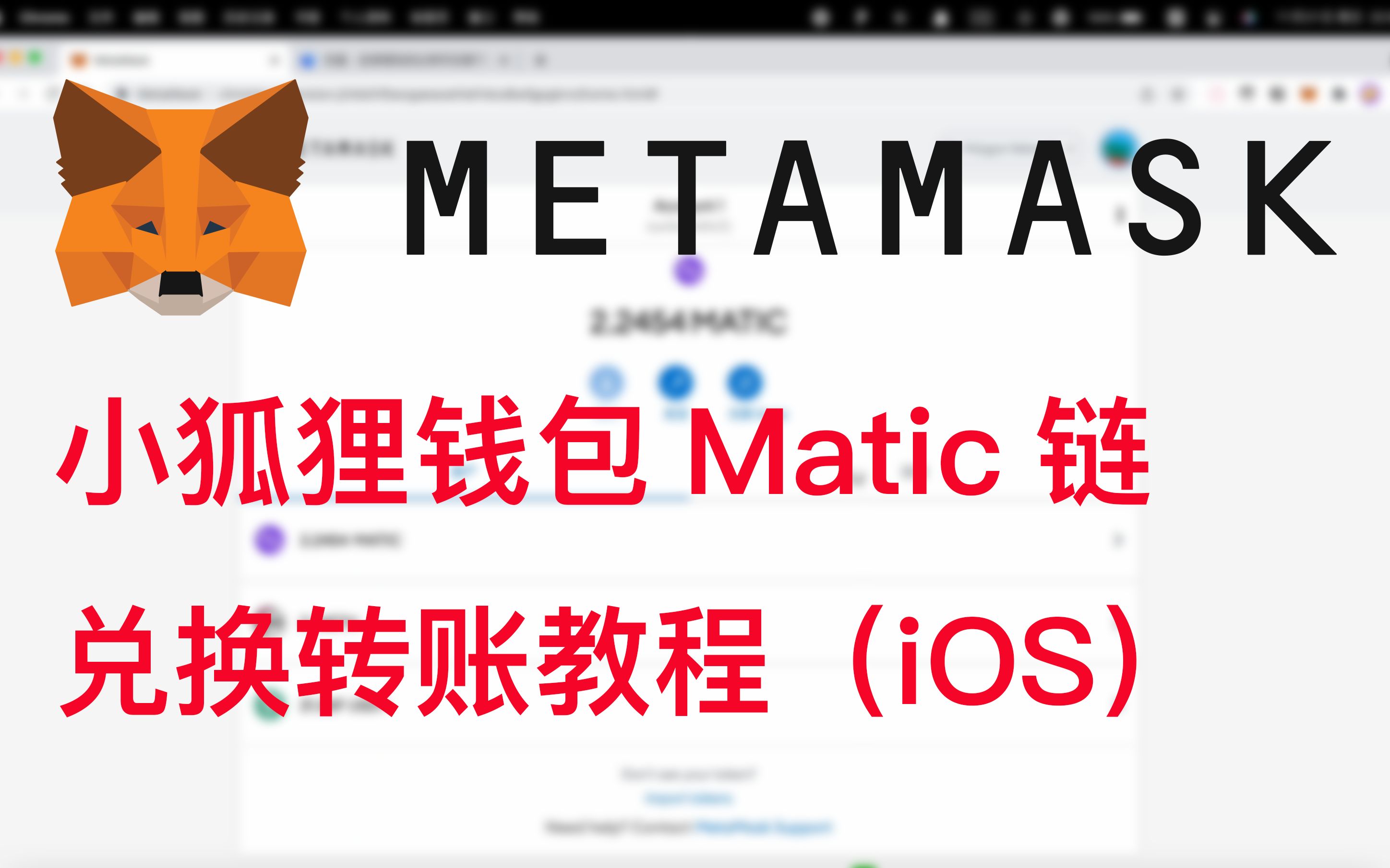 metamask钱包怎么设置中文