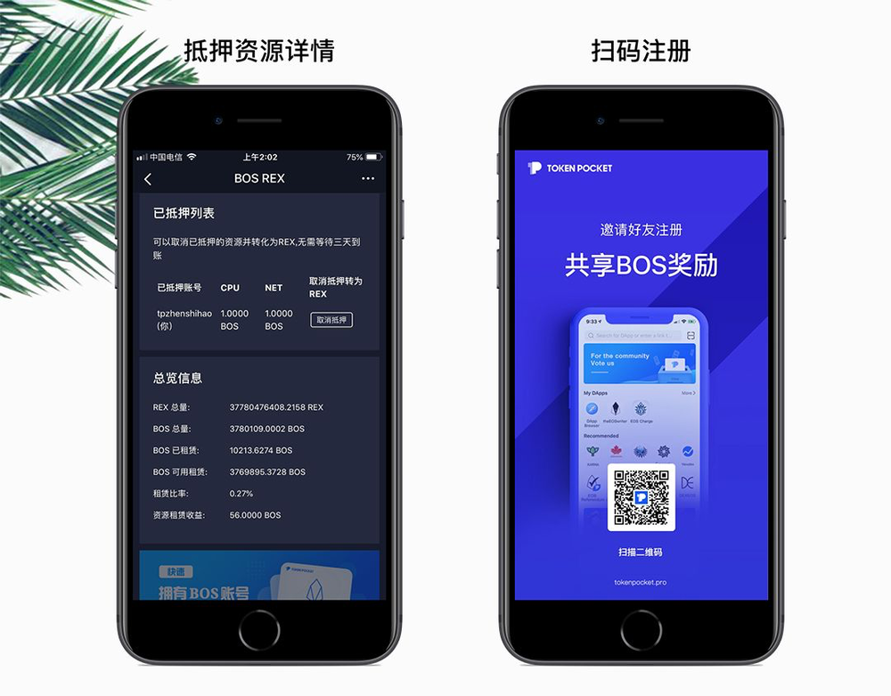 tP钱包官网版APP正版:tp钱包price impact too high