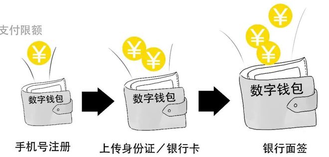 电子货币发工资:电子货币发行流程图