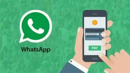 WhatsApp2023安卓最新版:whatsapp for android 404