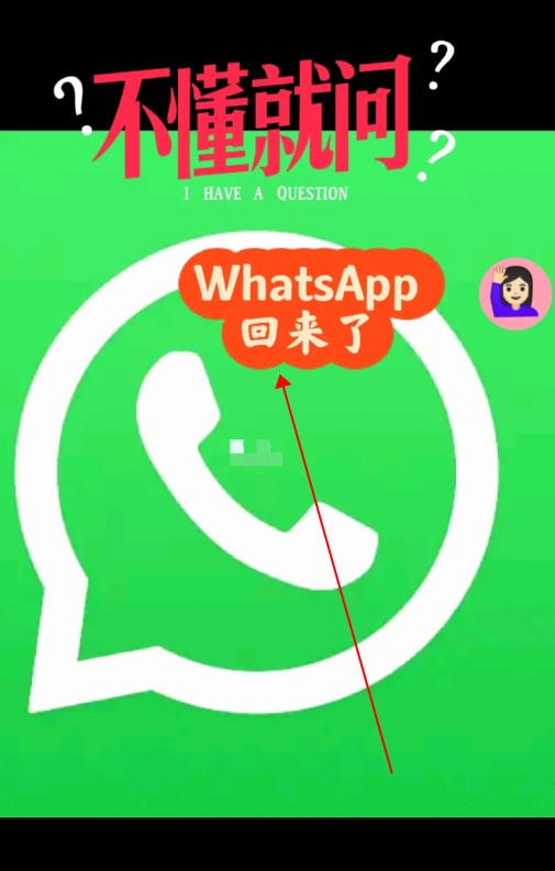 此whatsapp版本已与:whatsapp update