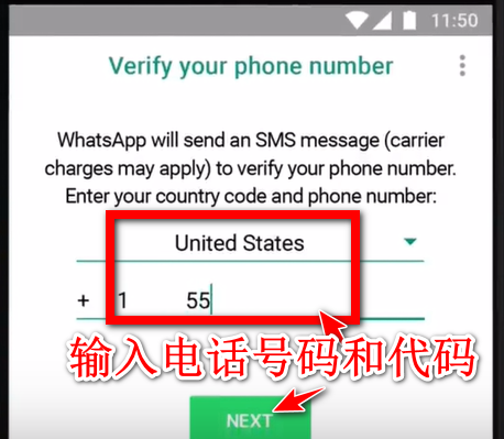 WhatsApp官网网址:whatsapp官网手机版 app