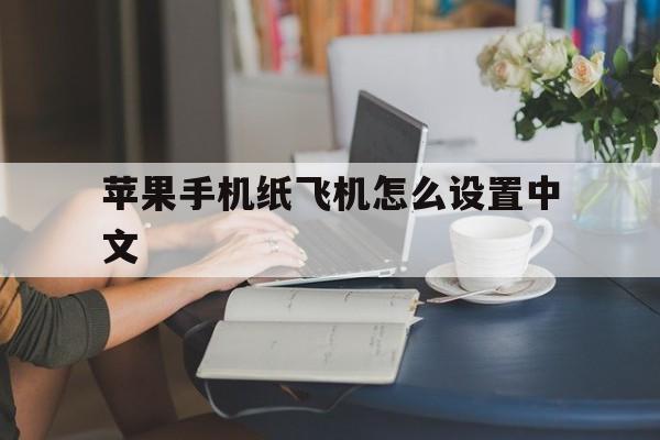 [苹果手机纸飞机怎么设置中文]苹果手机纸飞机怎么设置中文版