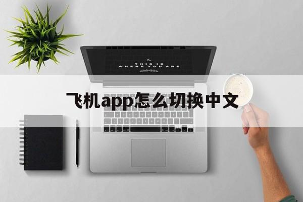 [飞机app怎么切换中文]纸飞机app怎么切换中文版