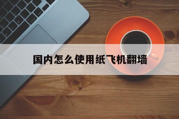 关于国内怎么使用纸飞机翻墙的信息