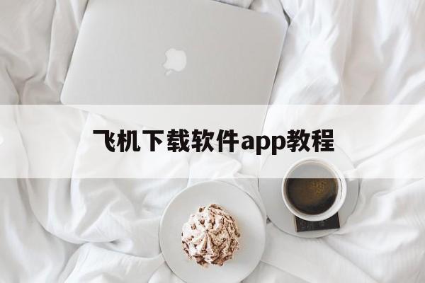 飞机下载软件app教程的简单介绍