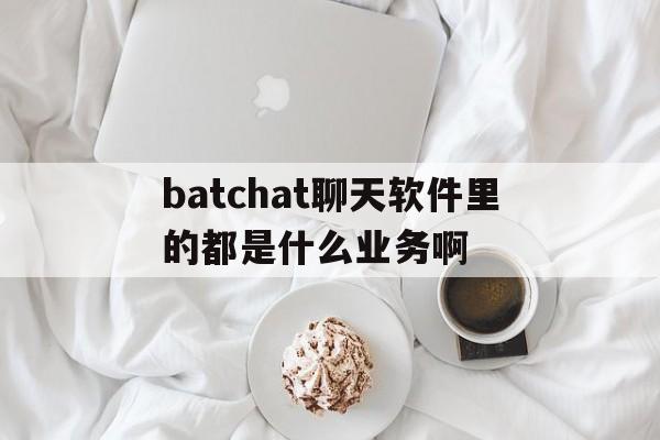 关于batchat聊天软件里的都是什么业务啊的信息